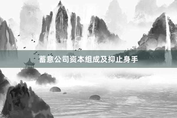 蓄意公司资本组成及抑止身手